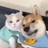 捌玖