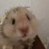 欠我三毛钱