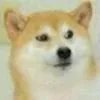 __