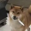 马萨卡