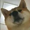 MR