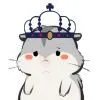 xiaonosong