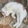 张三