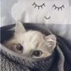 ꒌ
