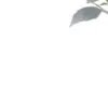 先下手为强喔