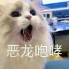原来孤立无援的是我