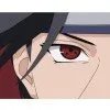 鼬先生