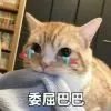 问题在于改变