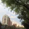 小羊咩咩