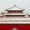仵子衿
