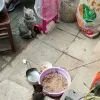 萤之光