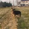 如何