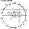 青眼白龙
