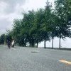 黄小黄