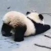 丨***丨