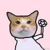 猫咚咚