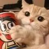 Catbo