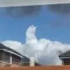 怦然不够炫