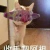 妈
