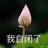普通队友