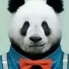 小平头咱也是棒棒哒！