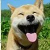 笑