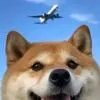 万米阳光