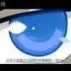 奎