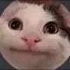 theslycat