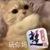 咸鱼。