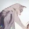 小凌尘酋长