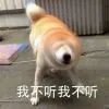 Zetan