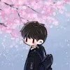 君子兰