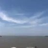 菜鹅