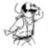 Cowboy