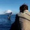 言述