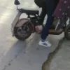 莉莉
