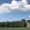 渡鸦