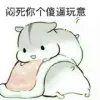 yucc5539269671