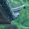 广东天河