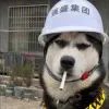 忽有故人心上过