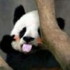 思念在暗处涌动