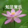 我独自进化