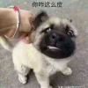 我JZzer