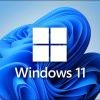 Windows1145