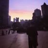 请数123