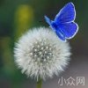 思虑齐架