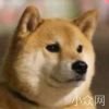 提笔落惆怅_