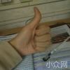 雷杨