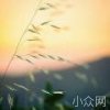 我完全没有任何理由理你Ok